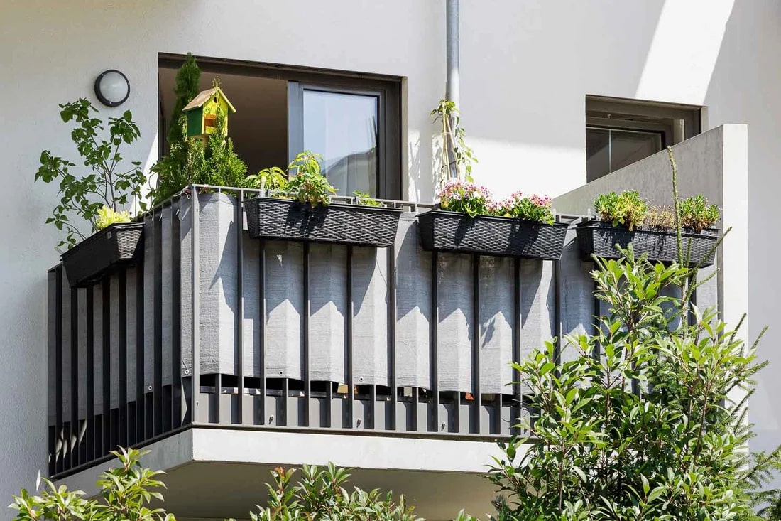 Best Bird Repellent Solutions for Balcony Gardens