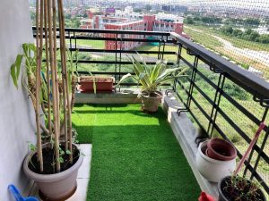 Best Ways to Keep Birds Away from Your Balcony Garden