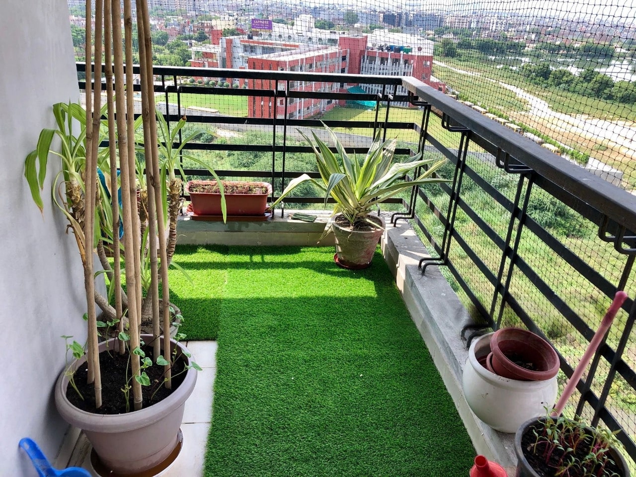 Best Ways to Keep Birds Away from Your Balcony Garden