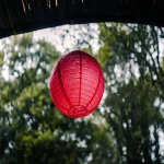Celebrate Green: Your Guide to Hosting an Eco-Friendly Party with Style and Fun