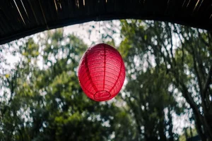 Celebrate Green: Your Guide to Hosting an Eco-Friendly Party with Style and Fun