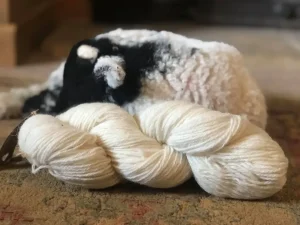 Why Ethical Wool Matters: Sustainable Fashion for All
