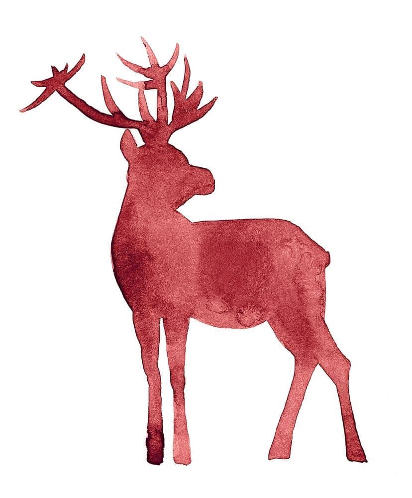 Red deer watercolor illustration