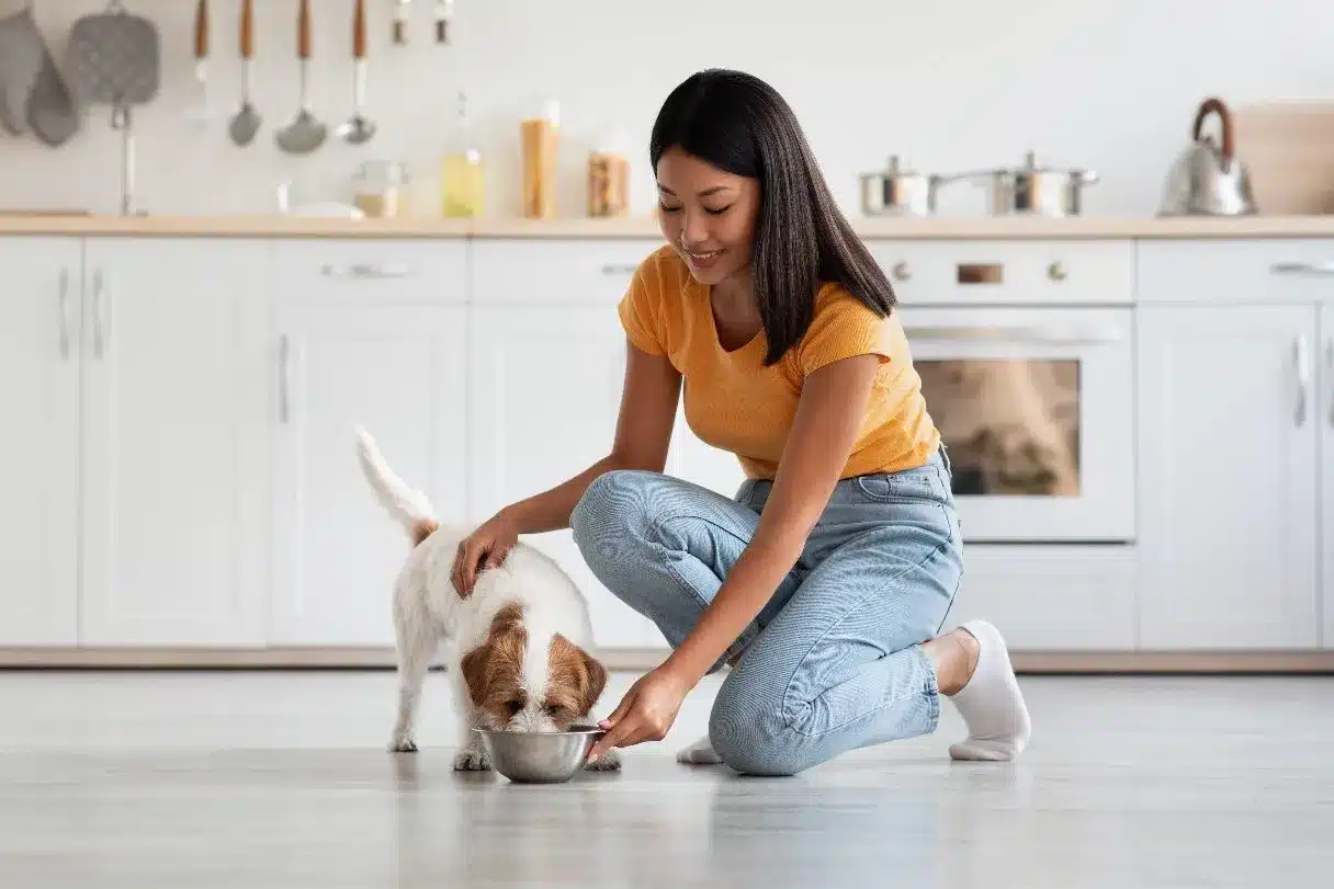 Smart Choices for Feeding Pets