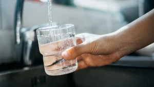 How SimPure Became a Trusted Name in Clean Water