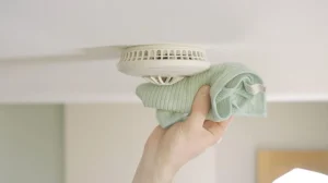 Eco‑Friendly Smoke Detectors for a Greener Home