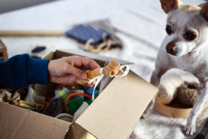 How to Choose Eco-Friendly Pet Products That Match Your Green Lifestyle
