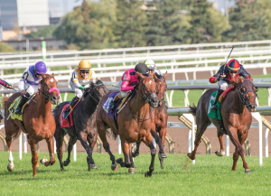 Race Spotlight: Why the 2025 E. P. Taylor Stakes Is a Must-Watch