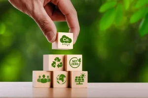 The Role Of Sustainable Branding In Today’s Business Landscape