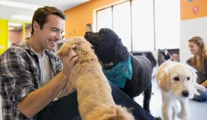 Why Dog Daycare Is Important for Your Dog’s Health and Happiness