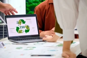Behind the Scenes: How Sustainable Storage Solutions Can Transform a Business
