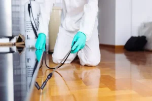 How Soon Should Homes in Houston TX Schedule Termite Control After a Storm?