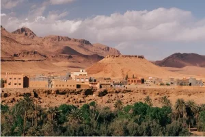 Luxury Awaits At 5-star Hotels In Fujairah
