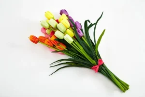 Petal Power: The Surprising Mental Health Benefits of Bringing Fresh Flowers Indoors