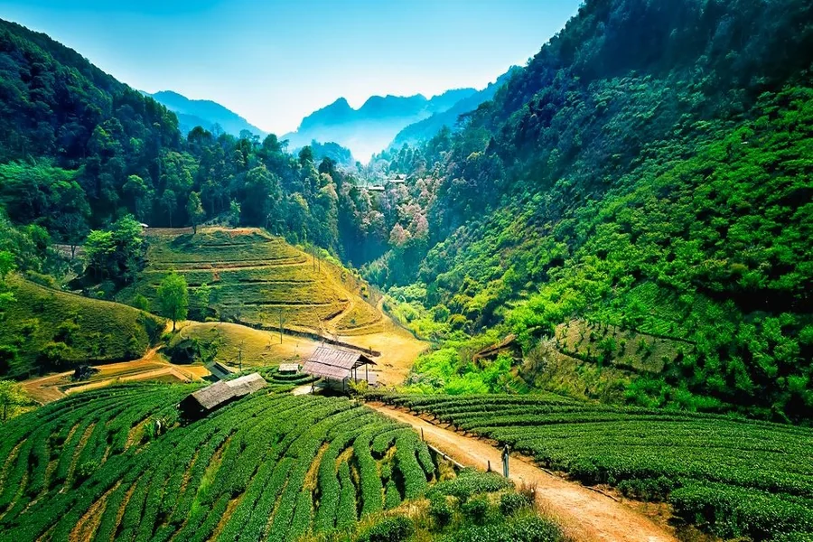 Best Places to Travel in Thailand