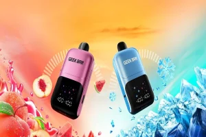 Geek Bar Disposable Vape: Top Flavors, Puff Power & Online Deals