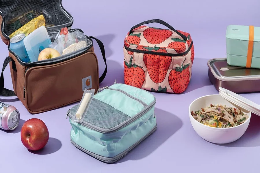 Why Stainless Steel Lunch Boxes Are a Smarter Choice