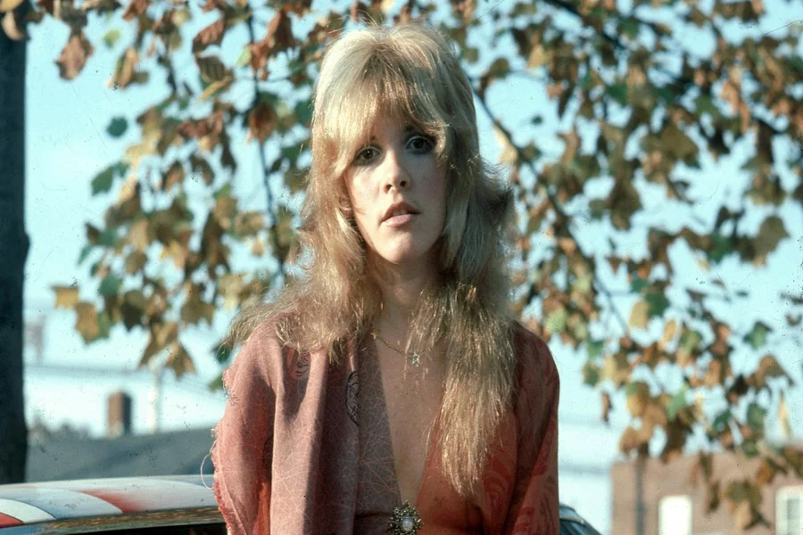 70's Stevie Nicks Fashion