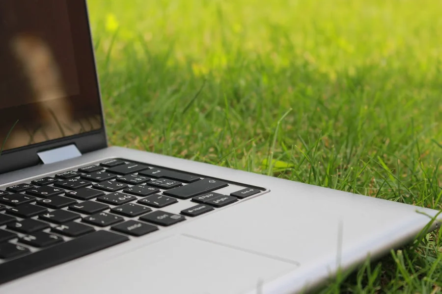 Building a Green Business Online without Overspending