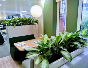 Greener Office: Corporate Plant Rental & Servicing