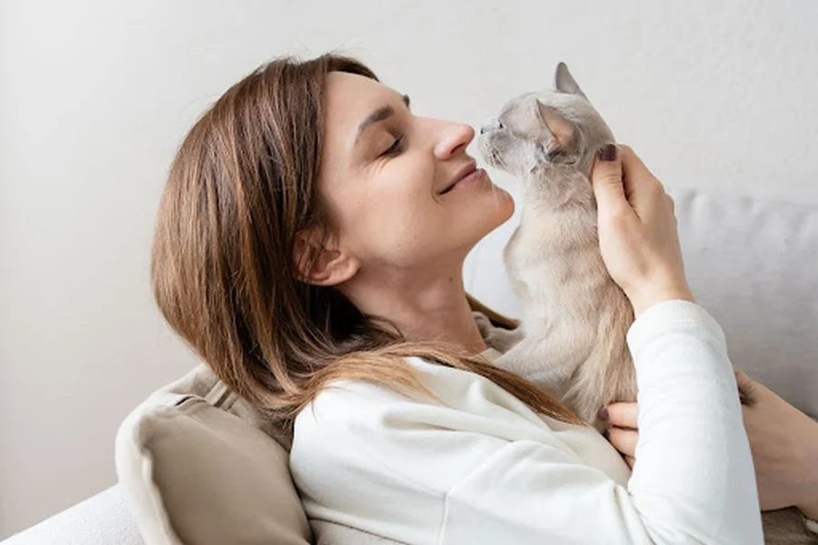 How to Register Your Cat as an Emotional Support Animal