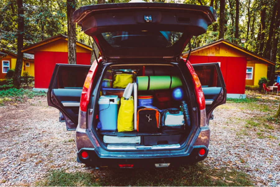 CarInsuRent