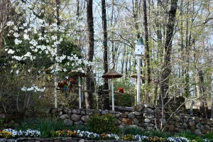 Celebrate the Holidays with a Tennessee Adventure to Remember