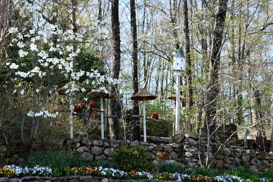 Celebrate the Holidays with a Tennessee Adventure to Remember