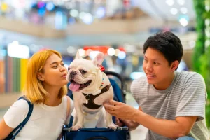 Creating Dog-Friendly Cities in the US: How to Make Urban Areas More Welcoming
