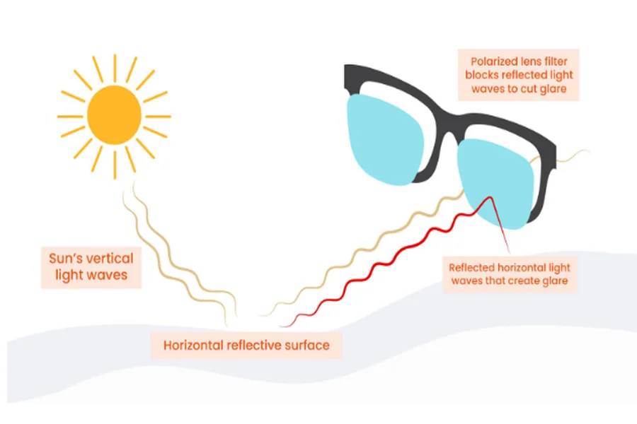 Polarized Sunglasses