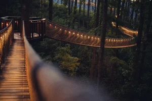 How Outdoor Adventures Remind Us What It Means to Feel Alive