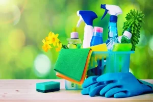 Turning Bird-Prone Properties Into Safe, Clean Spaces
