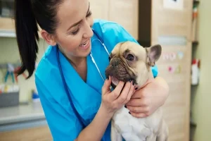 10 Things to Look for in Budget-Friendly Pet Insurance Plans