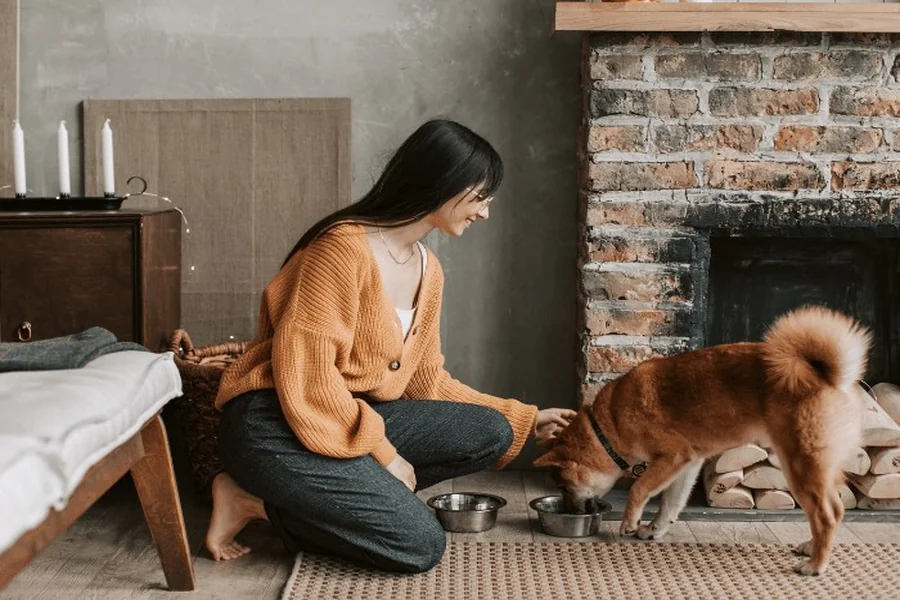 A Woman Feeding a Dog at Home