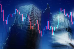Navigating the Waves: How Volatility Shapes Canadian Investment Behavior