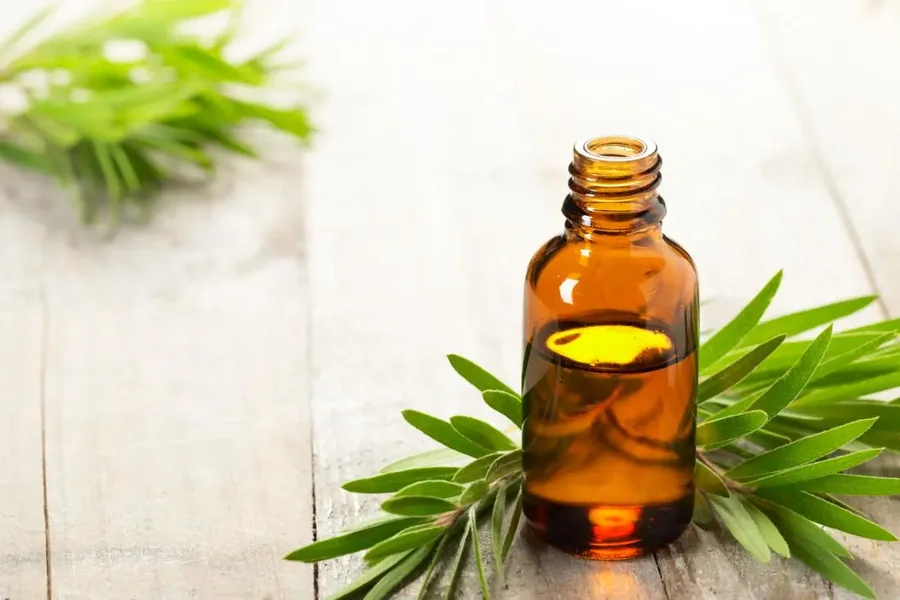 Hair Oil