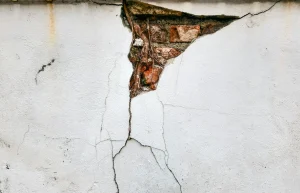 How to Identify Structural Rot Before It Compromises Your Home’s Safety