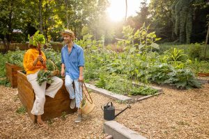 Best Types of Mulch for Eco-Friendly Landscaping