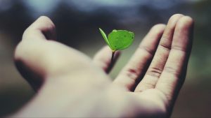 Conscious Living and the Modern Search for Practical Sustainability 
