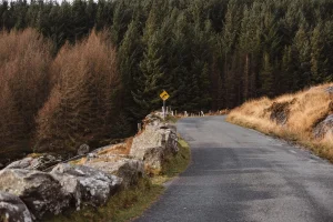 A Trip Through New Zealand That Didn’t End at the Airport