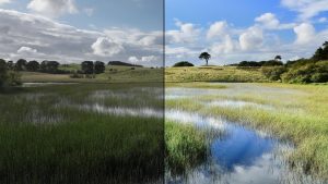Over-Editing vs Raw Content – What Actually Works on TikTok 
