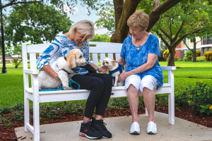 How to Make Friends After You Retire