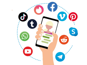 How Users Find Sports Websites and Platforms