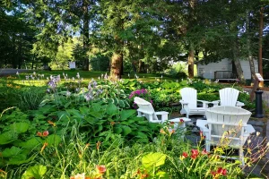 Here’s How to Bring a Nancy Meyers Vibes Right to Your Garden