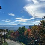 Why Travelers Still Look for Local Food Spots Over Chains