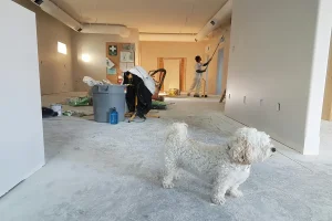 Common Problems Homeowners Ignore Until Repairs Become Expensive