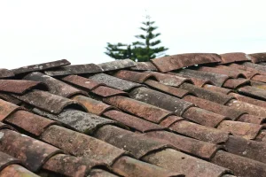 How to Spot Early Signs of Damage Around Your Home