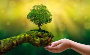 Welcome to the Post-sustainability Era – Specificity is the New Luxury Signal