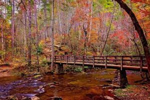 Why Pigeon Forge Is a Year-Round Vacation Destination