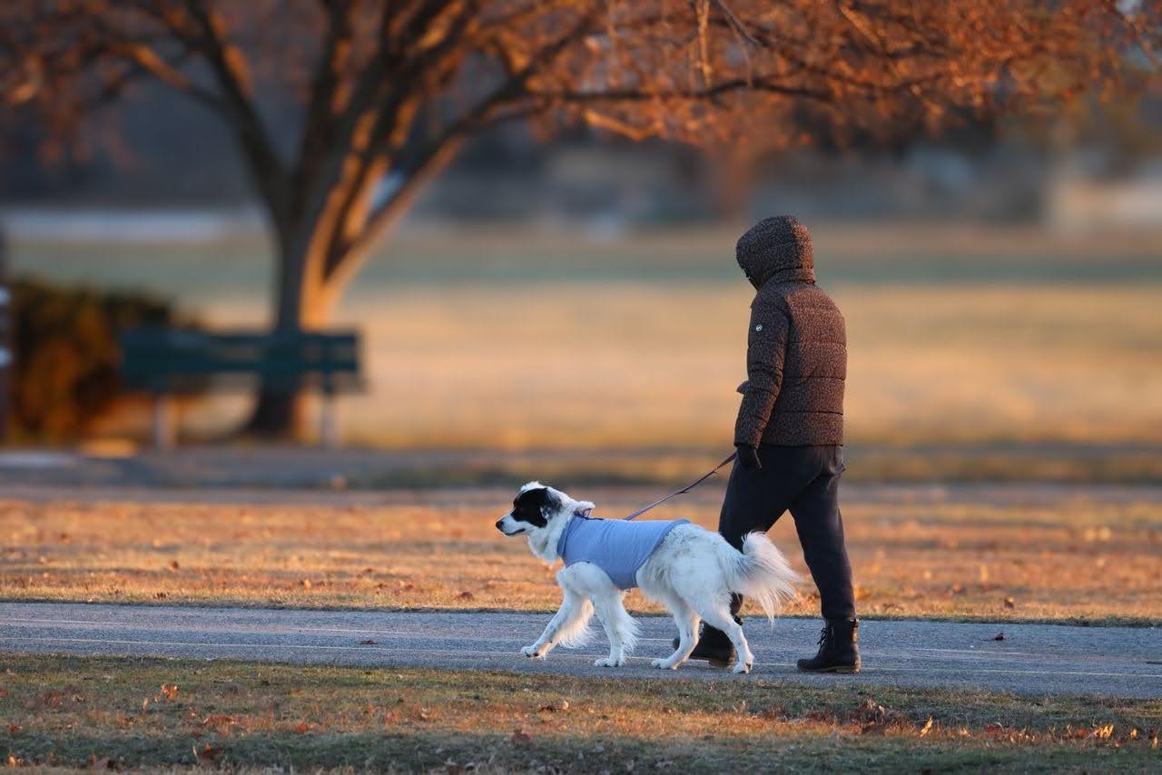 A man wearing a jacket walks his dog in a serene autumn park at sunset
